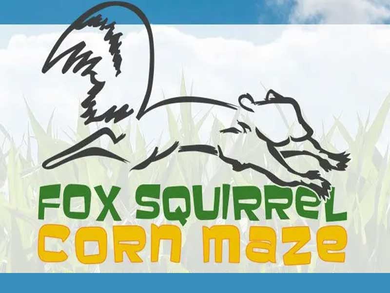 Fox Squirrel Corn Maze