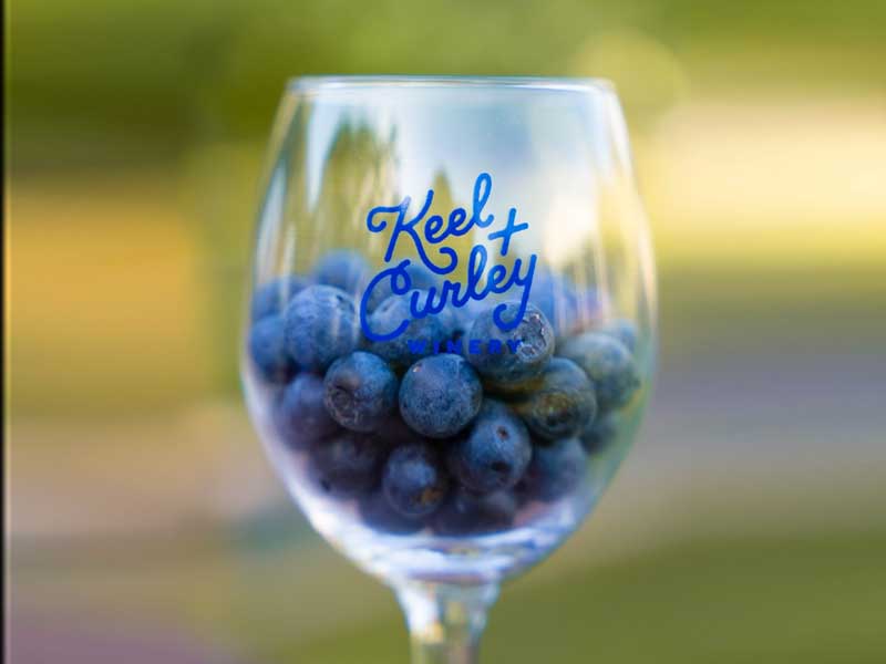 Keel and Curley Blueberry Festival