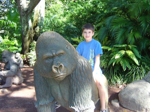 Busch Gardens Tampa Bay Official Site