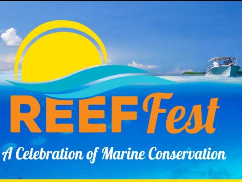 REEF Fest