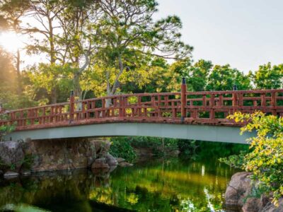 Morikami Museum and Japanese Gardens